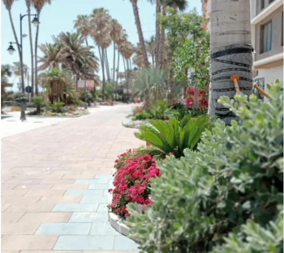 Side -estepona * Estepona